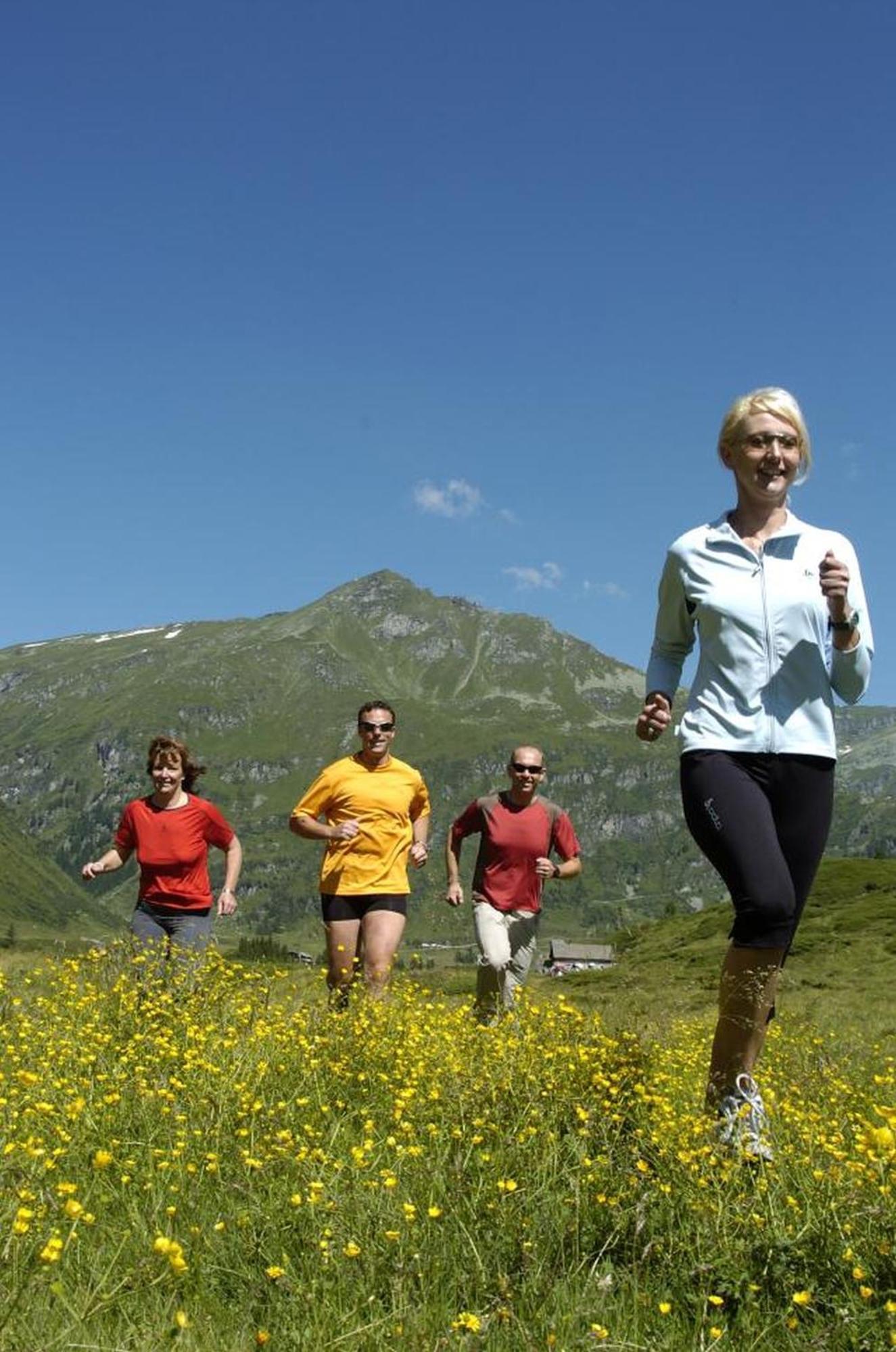 Ferienhaus Schiwiese Mit Freiem Eintritt In Die Alpentherme & Freie Nutzung Der Gasteiner Bergbahnen Im Sommer 2025 Bad Hofgastein Ngoại thất bức ảnh